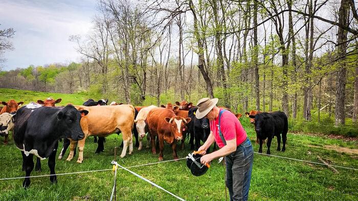 The False Choice Facing American Agriculture