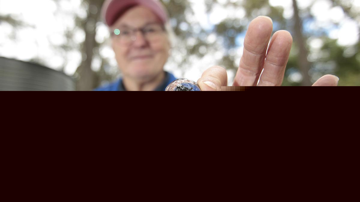 Beetles and artificial intelligence have joined forces for healthier livestock in lower South West