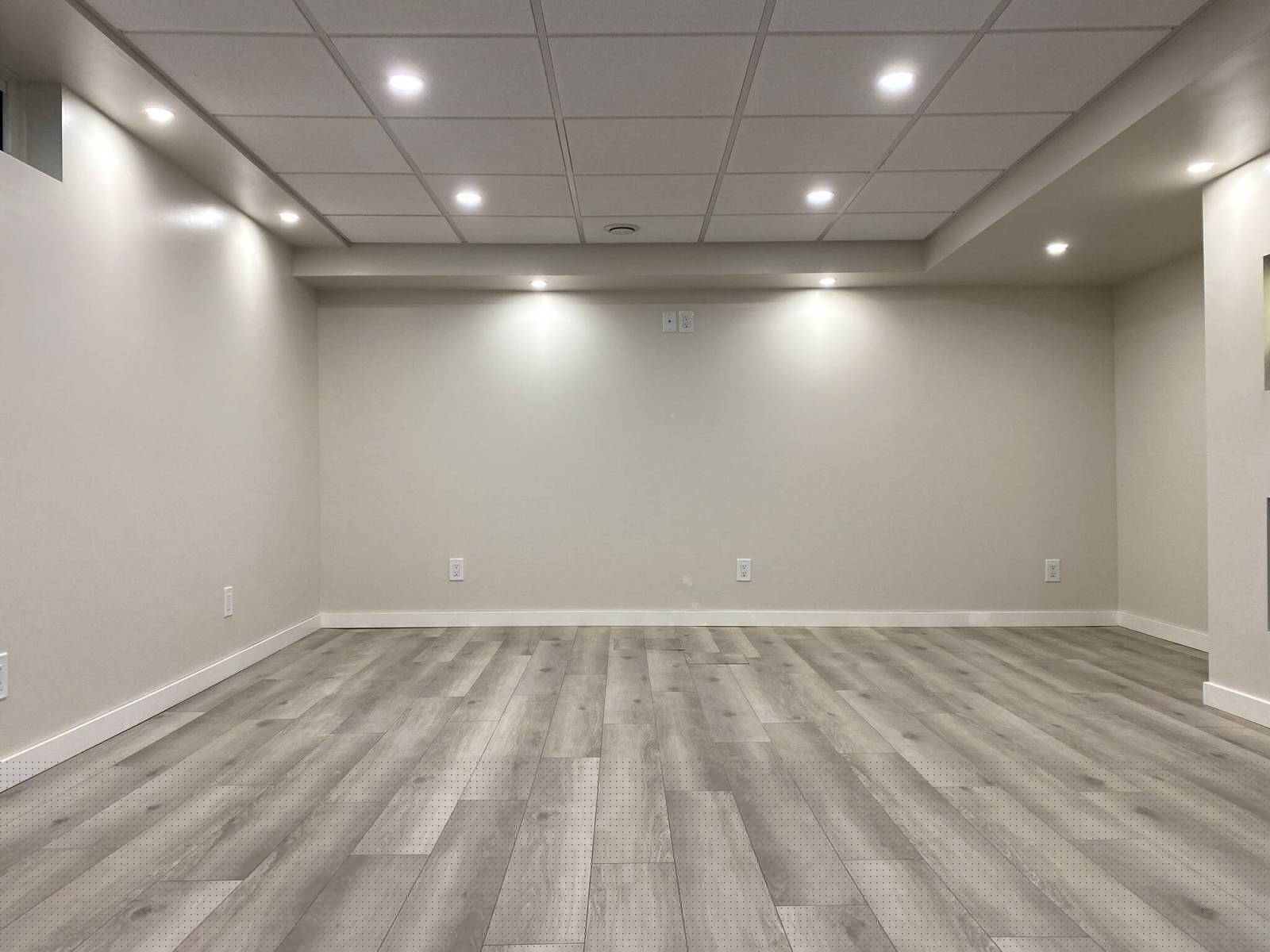 Basement re-imagination