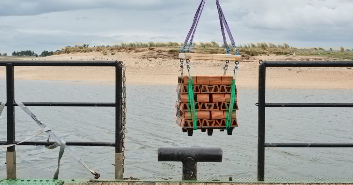 Purina backs UK’s largest oyster reef restoration off Norfolk coast