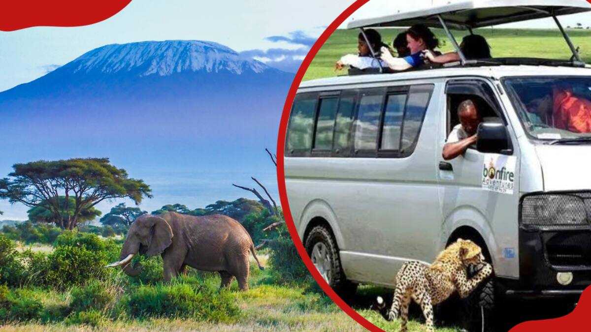 List of tours and travel companies in Kenya to use in 2025