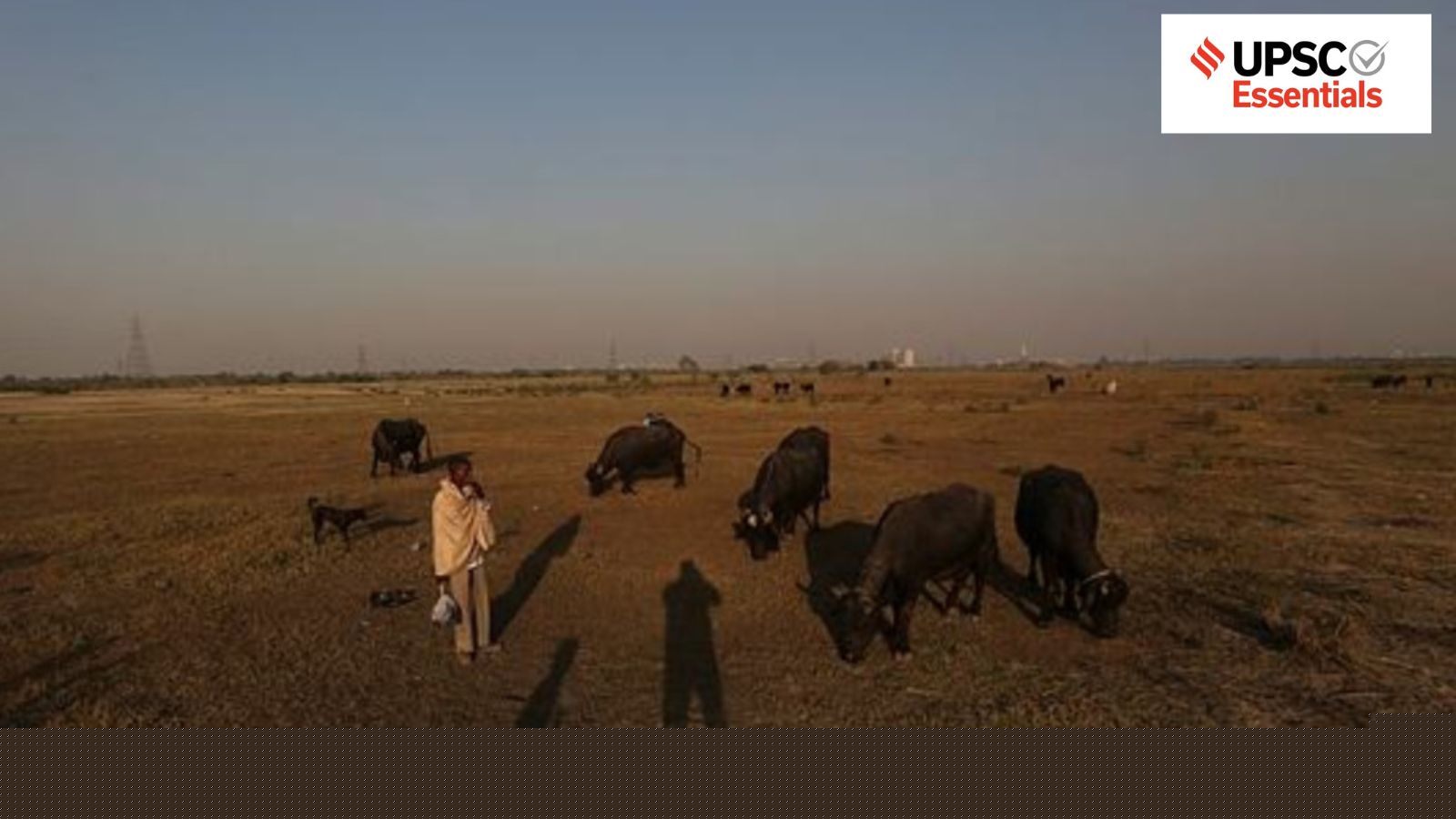 Pastoralism: Is permanent settlement the only path to development?