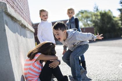 Bullying At Bismarck Public Schools: Is There A Problem?