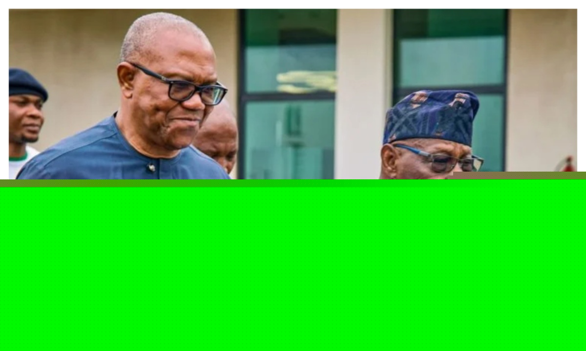 Peter Obi meets Obasanjo