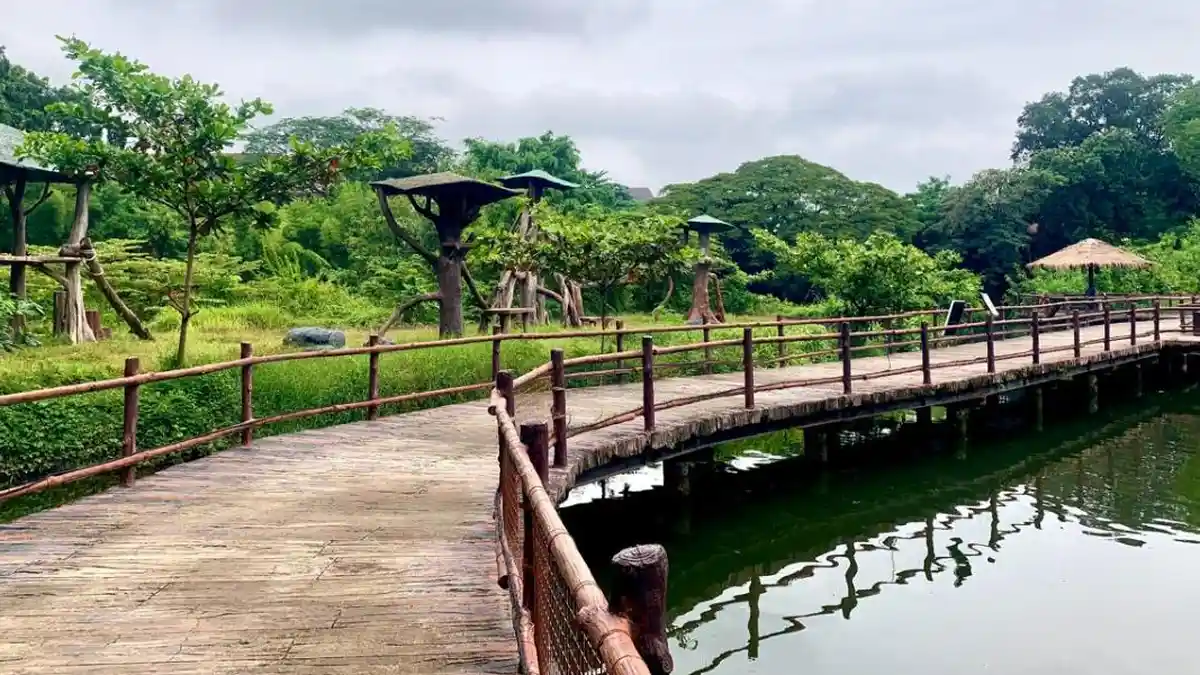 Solo Safari Hadirkan Jogging Track Ramah, Memfasilitasi Olahraga sambil Melihat Satwa