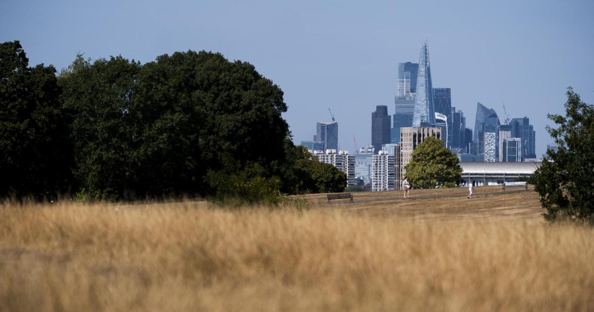 London to hit 38C as 'national emergency' declared over wildfires