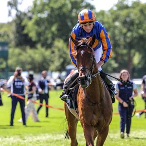 Rankings Race Trends: Day 3 at Goodwood