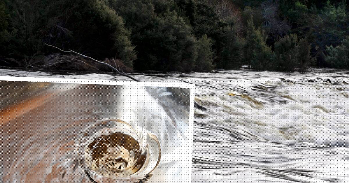 Trouble at the plant: why TasWater is asking thousands to use less water