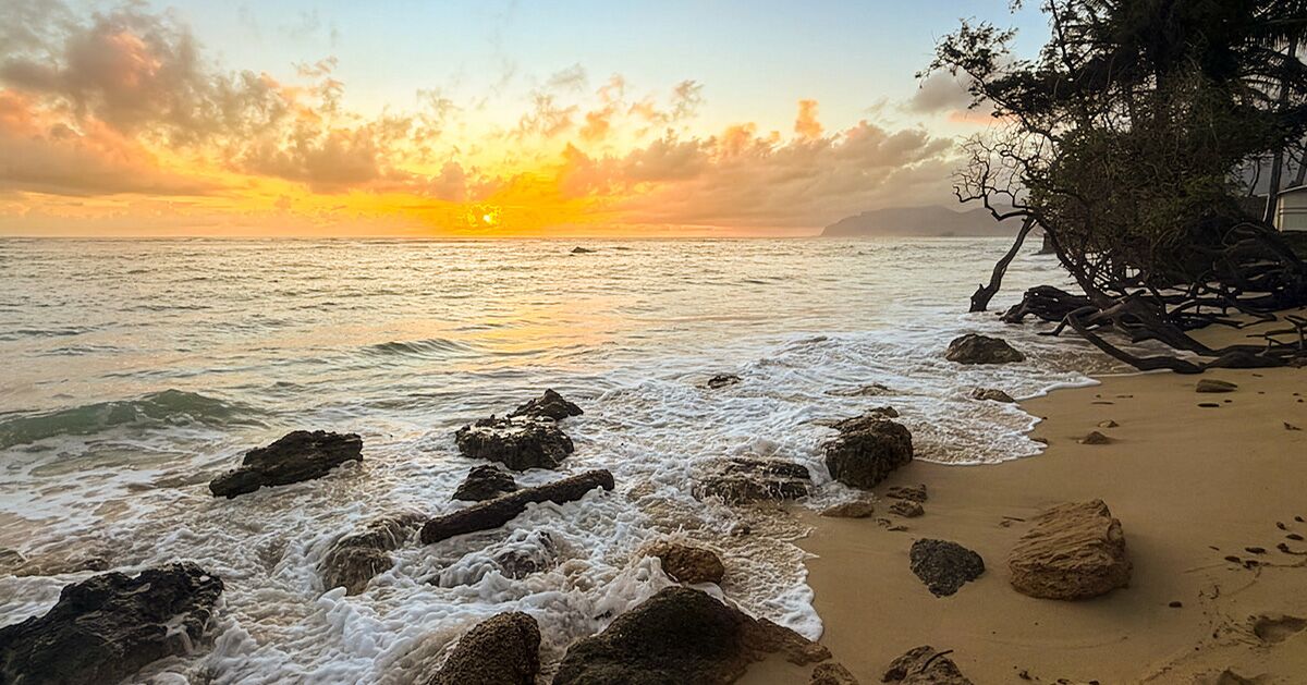 My First Solo Trip: What O‘ahu Taught Me About Slowing Down, Cherishing Legacies, and Moving Forward