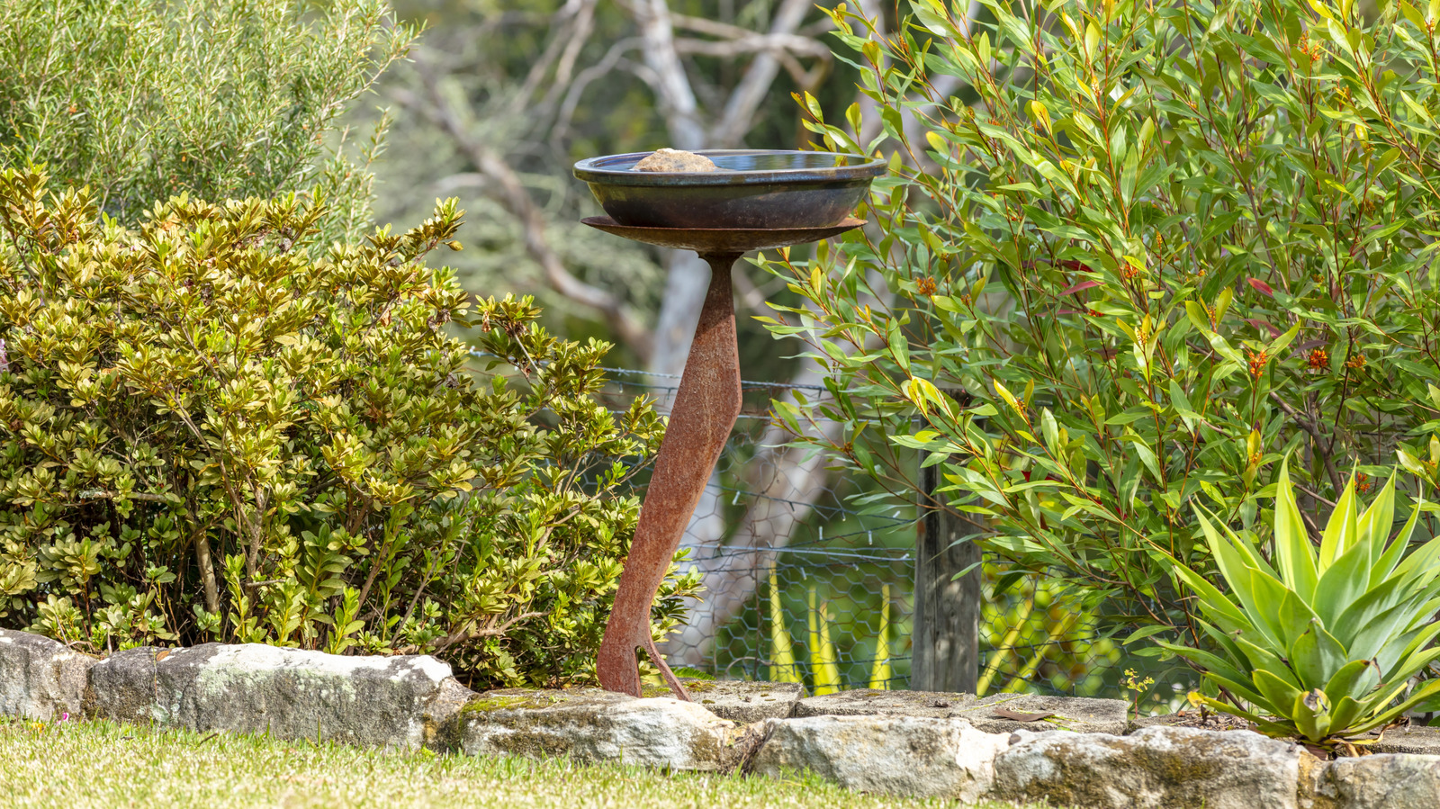 Should A Bird Bath Be Placed In The Sun Or Shade?