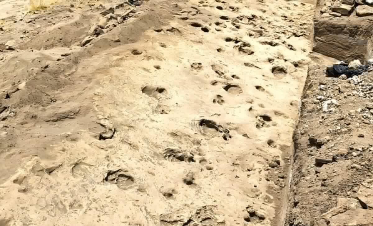An Ancient Lakeshore Preserved 1.43-Million-Year-Old Footprints Showing an Ancient Human Relative Traveled in All-Male Groups