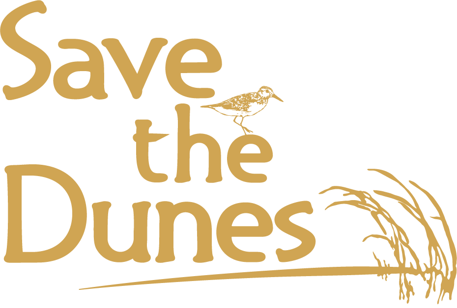 Save the Dunes Receives National Park Foundation Innovation Grant to Reduce Congestion and Improve Visitor Experience at Indiana Dunes National Park