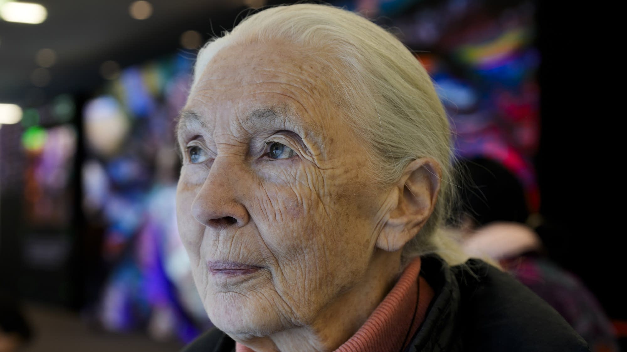 Jane Goodall, known for chimpanzee research, has died