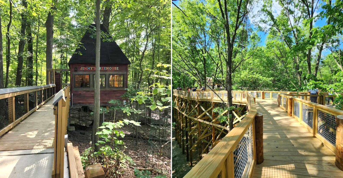 13 Ohio Treehouse And Canopy Walk Stops That Feel Like A Summer Adventure