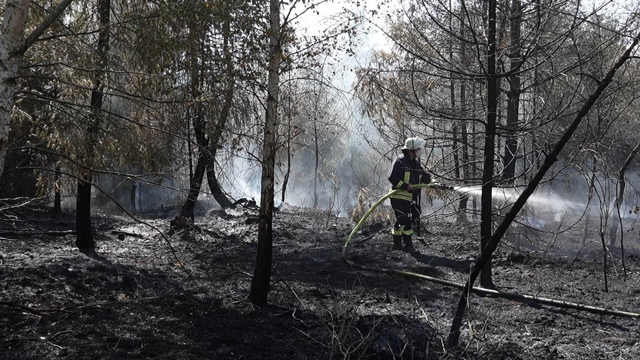 Hochtaunuskreis: Waldbrand greift auf Bundespolizei-Gelände über