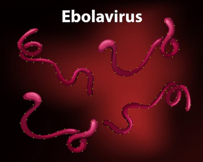 Africa CDC, WHO urge community action as DRC Ebola outbreak worsens
