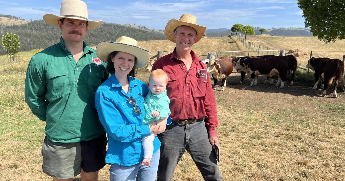 East Gippsland's turn to showcase best stock for Stock & Land Beef Week