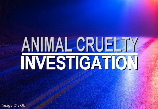 Millsboro Woman Charged with Animal Cruelty