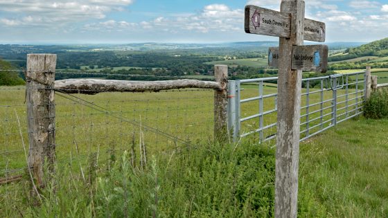 South Downs National Park Authority framework 2026-30