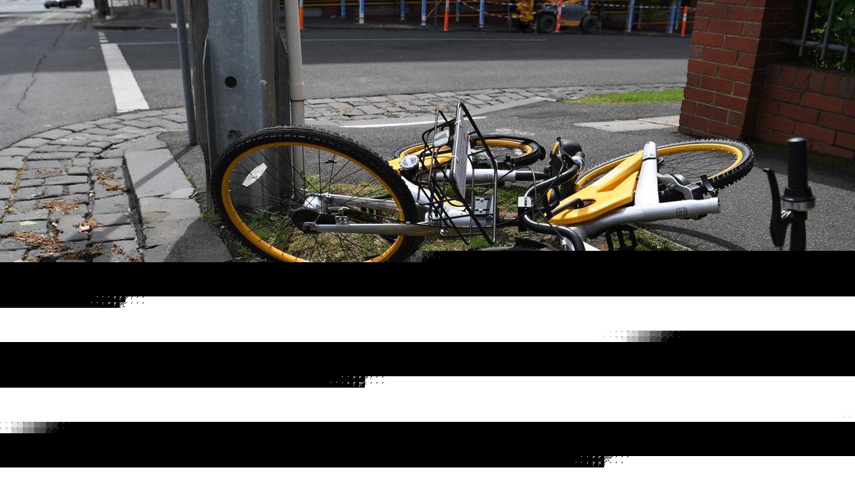 'Bike boy' bailed to rehab amid carjacking allegations