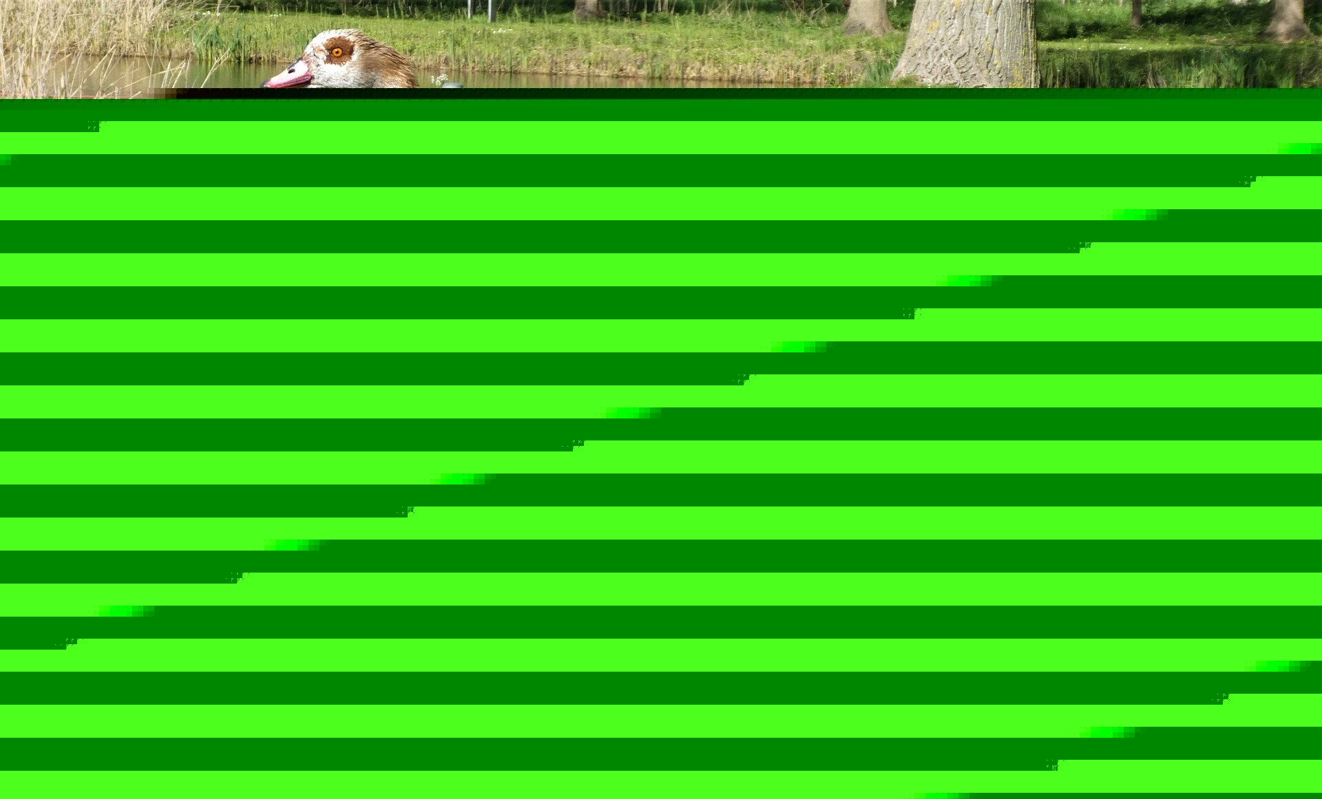 Episode 327 - The security of alert fatigue