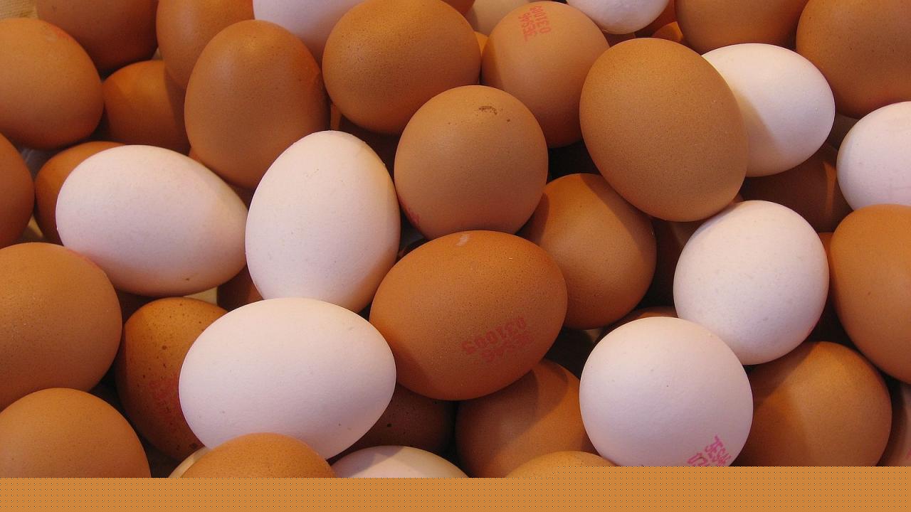 Egg Prices Surge 334% to Become World's Fastest-Rising Food Commodity