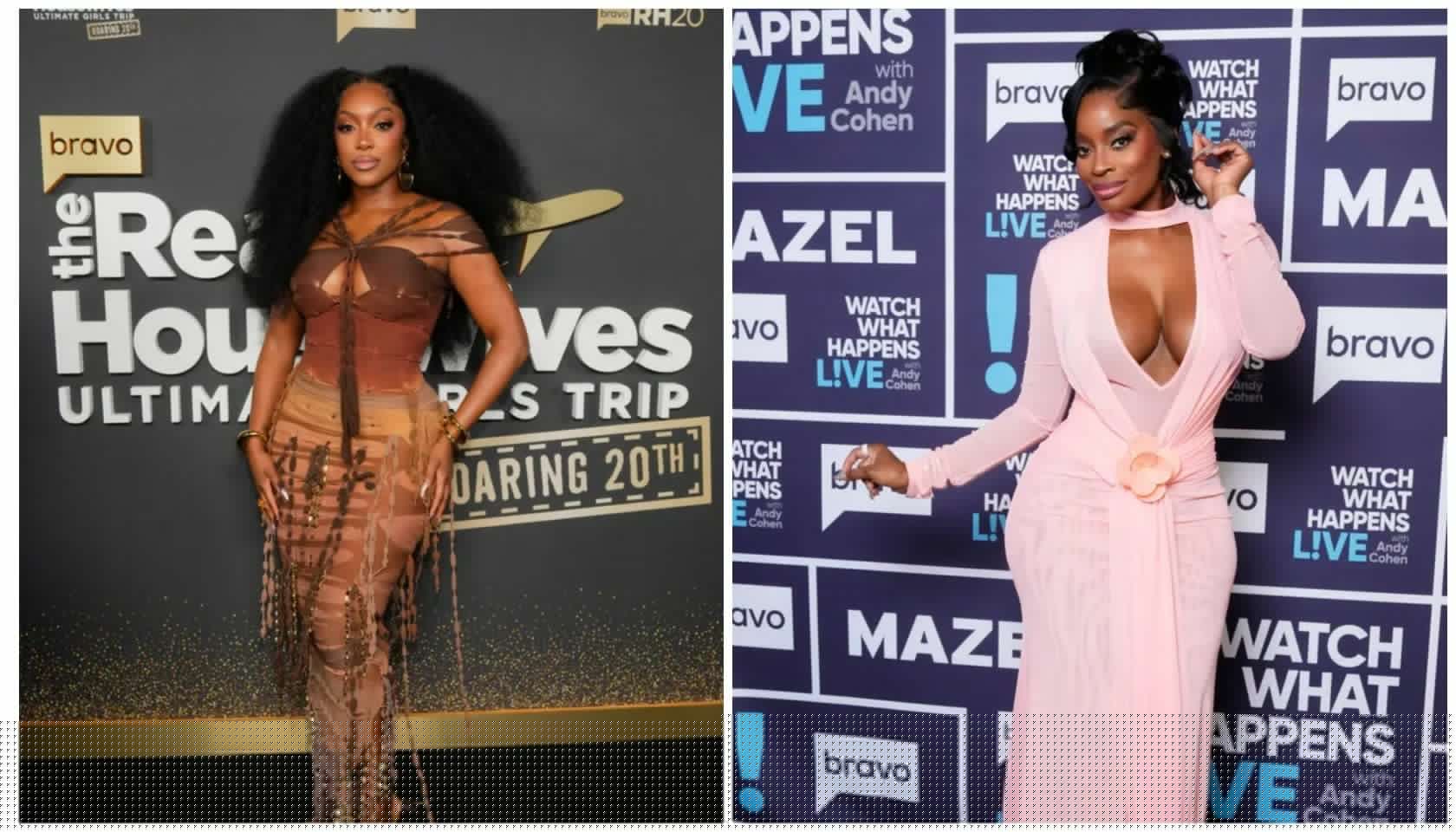 Ex-Friend Files: Fans Of Porsha Williams & Shamea Morton Release Receipts To Show Who’s REALLY ‘Lying’ About Shamea’s Stalled Peach