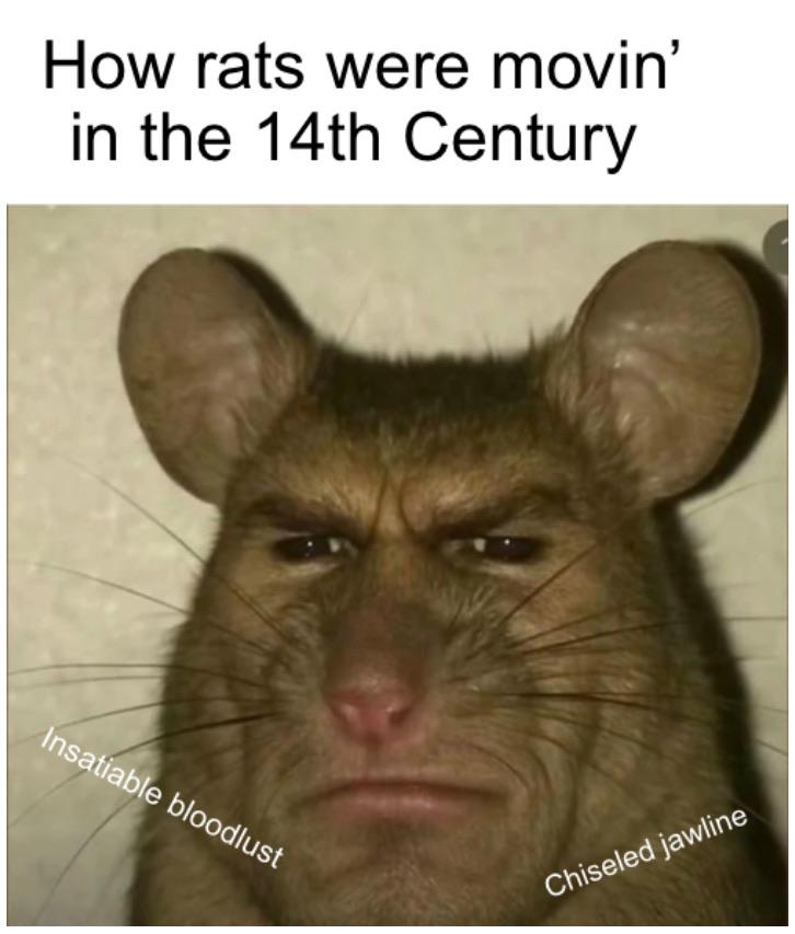 History Memes - “Call the fleas, humanity has another thing comin’” (Black Death) | History Memes