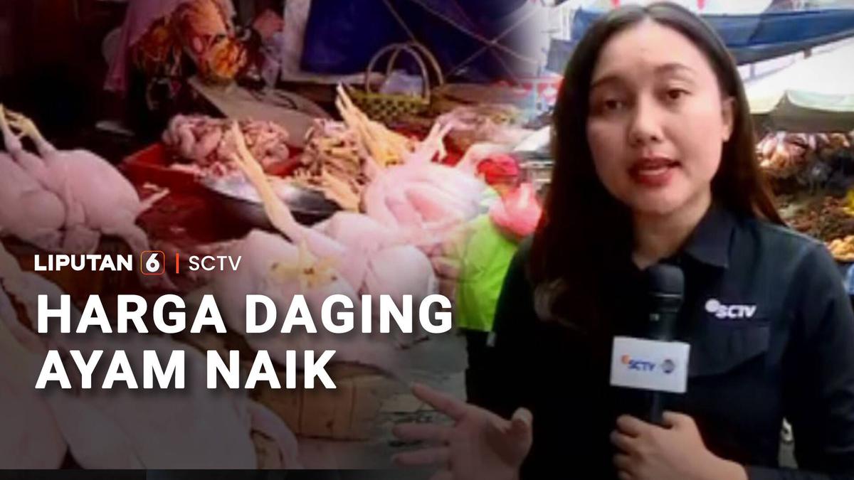 Harga Daging Ayam Naik, Pedagang Klaim Omzet Turun 25 Persen