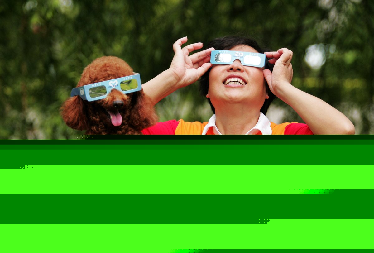 Do animals act weirdly during a solar eclipse? Or do we?