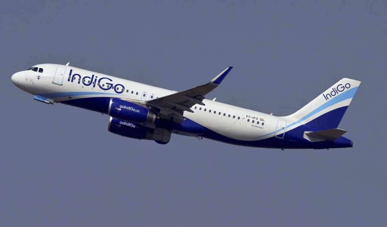 Cut taxes, airport charges to boost air travel demand: IndiGo MD to govt