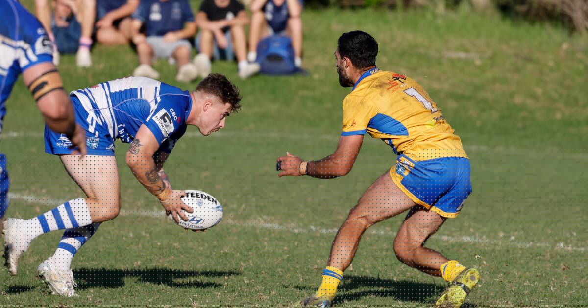 Thirroul Butchers player suspended for on-field homophobic slur
