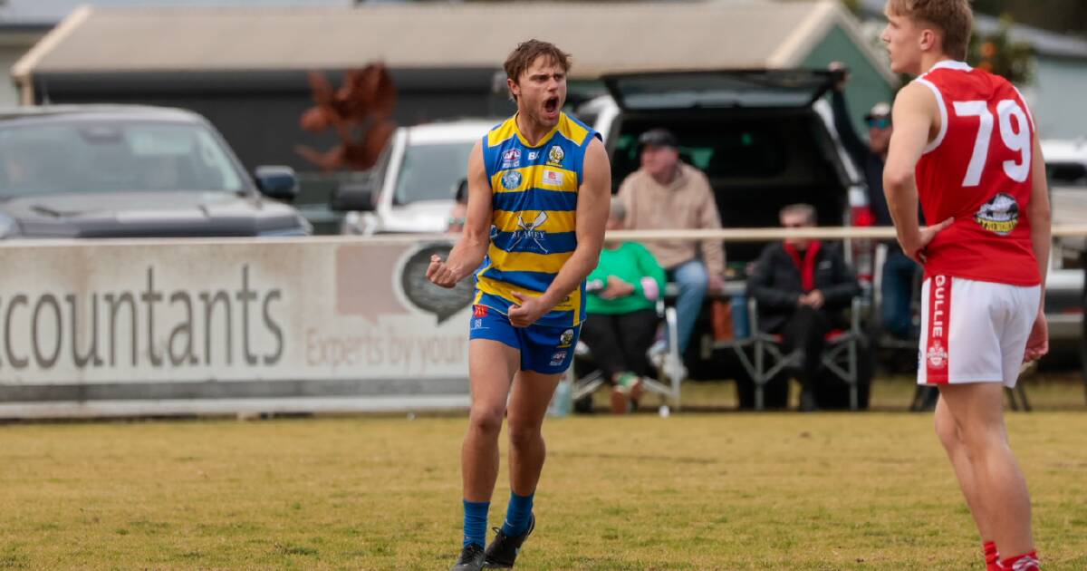 Goannas look to build momentum against Tigers after ending Demons' season