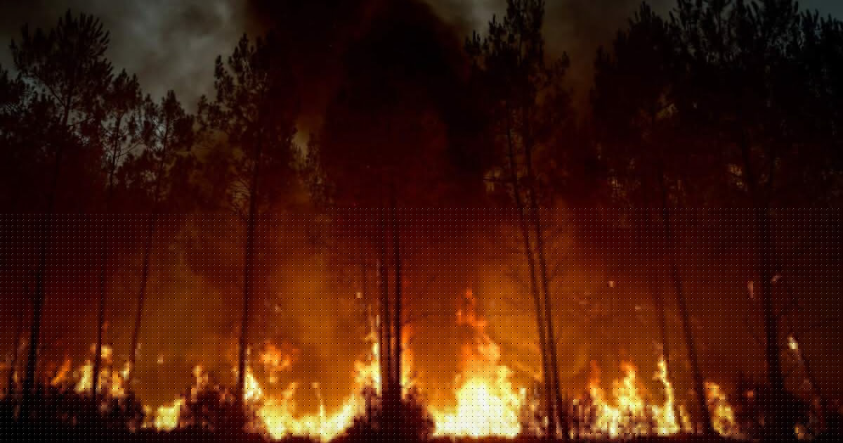 Waldbrand-Risiko in Südeuropa ist stark gestiegen