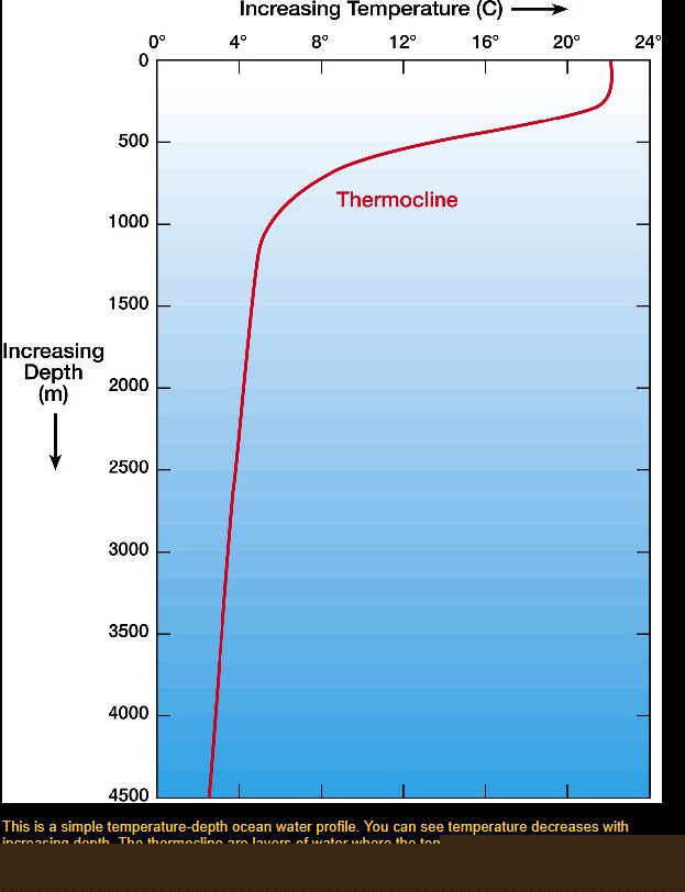 Comment on The Wetware Crisis: the Thermocline of Truth by Why Software Companies Die | Tech Programing