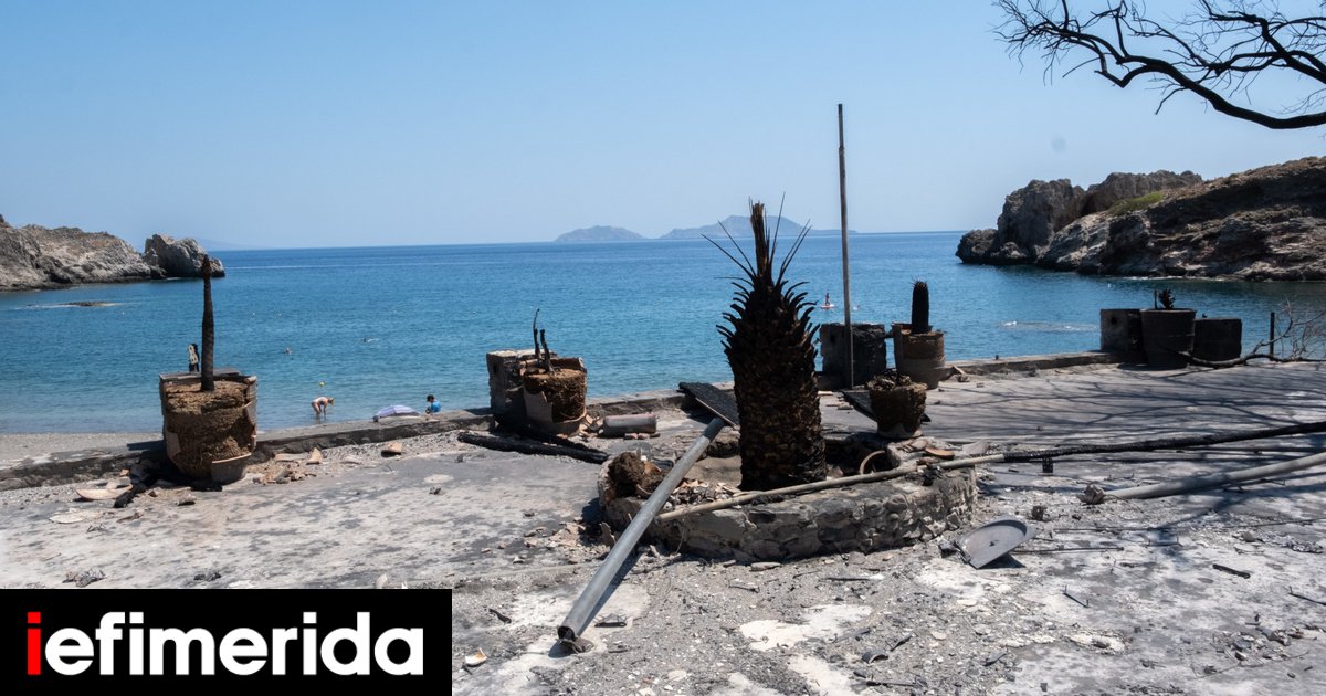 Φωτιά στο Ρέθυμνο: Οι τέσσερις ήρωες που έσωσαν 100 ανθρώπους με τα σκάφη τους -«Φωτεινό παράδειγμα η ανιδιοτελής προσφορά τους»