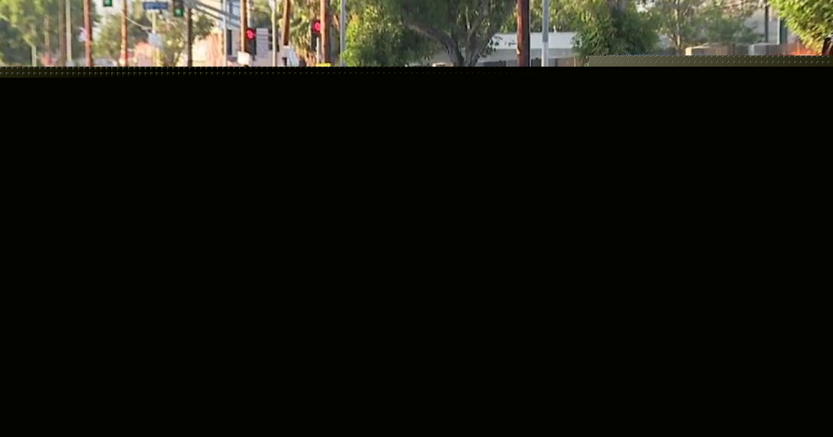 Witnesses say LAPD officer hit 6-year-old girl during South Los Angeles police chase