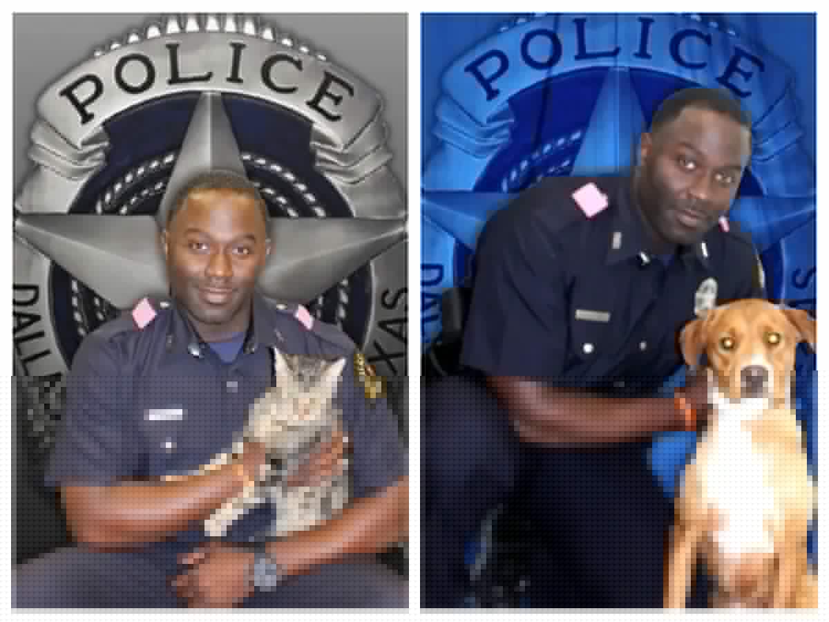 Police sergeant suspended after allegedly taking female officer’s phone and sending her intimate pictures to himself