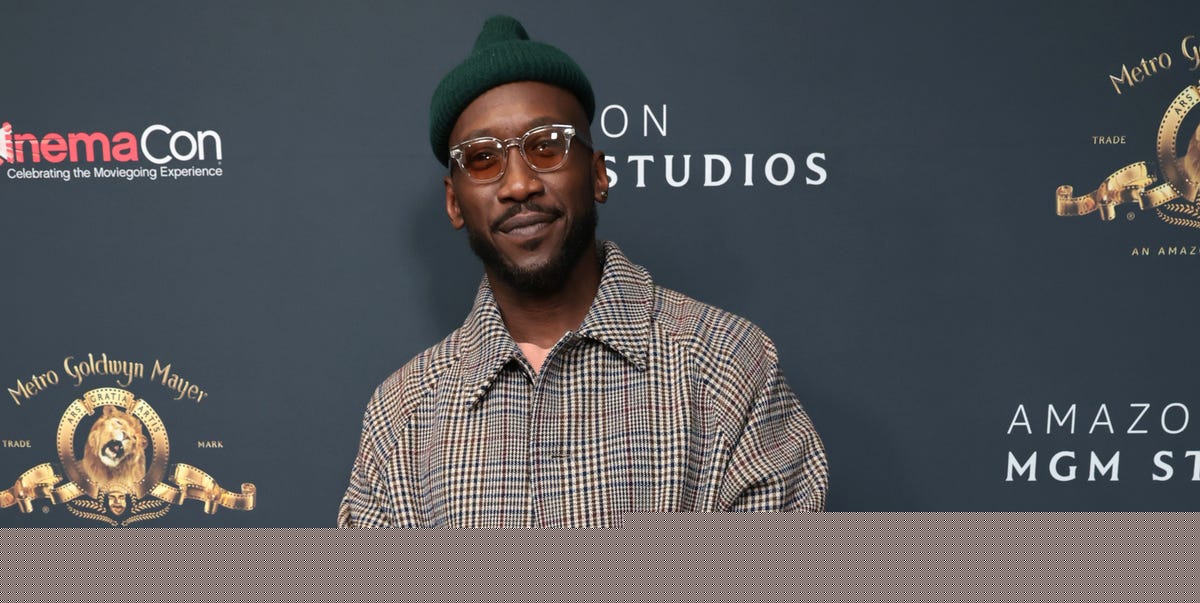 Mahershala Ali reveals what cancelled Blade movie has taught him as he confirms exit