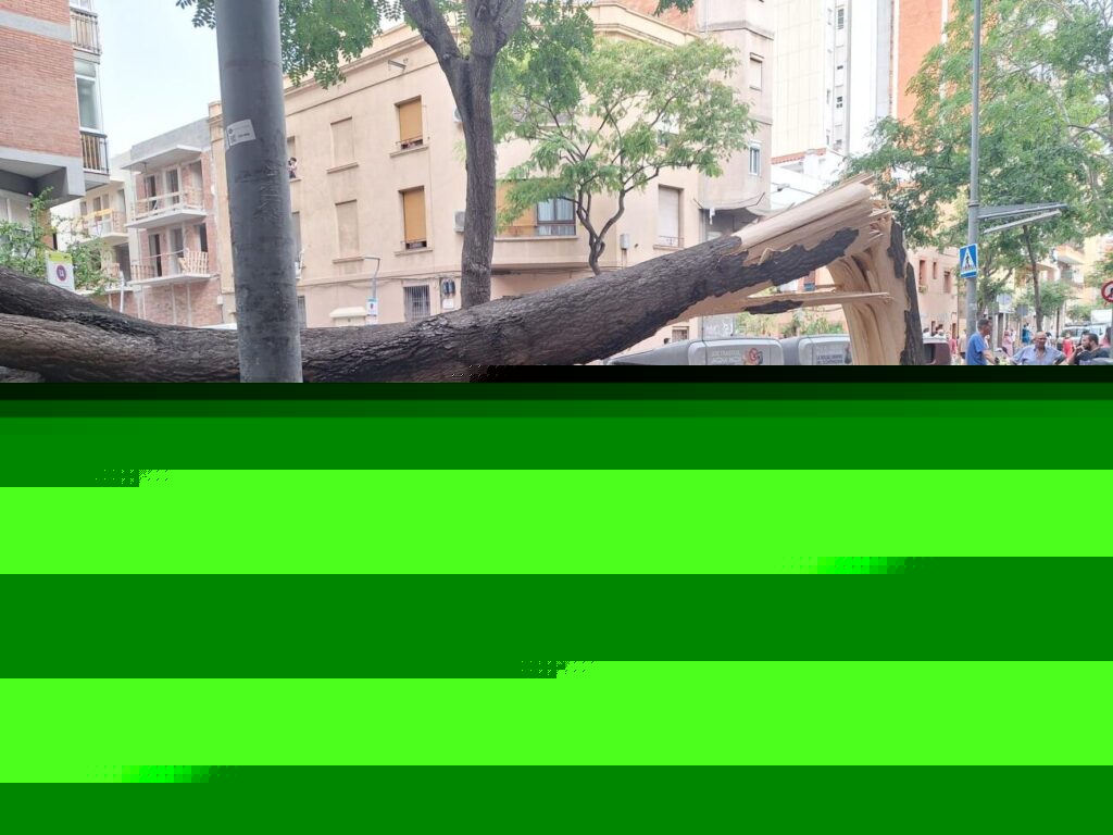 Un esclafit arrasa arbres, fanals, motos i tendals en un tram de 500 metres de l’avinguda del Carrilet de l’Hospitalet