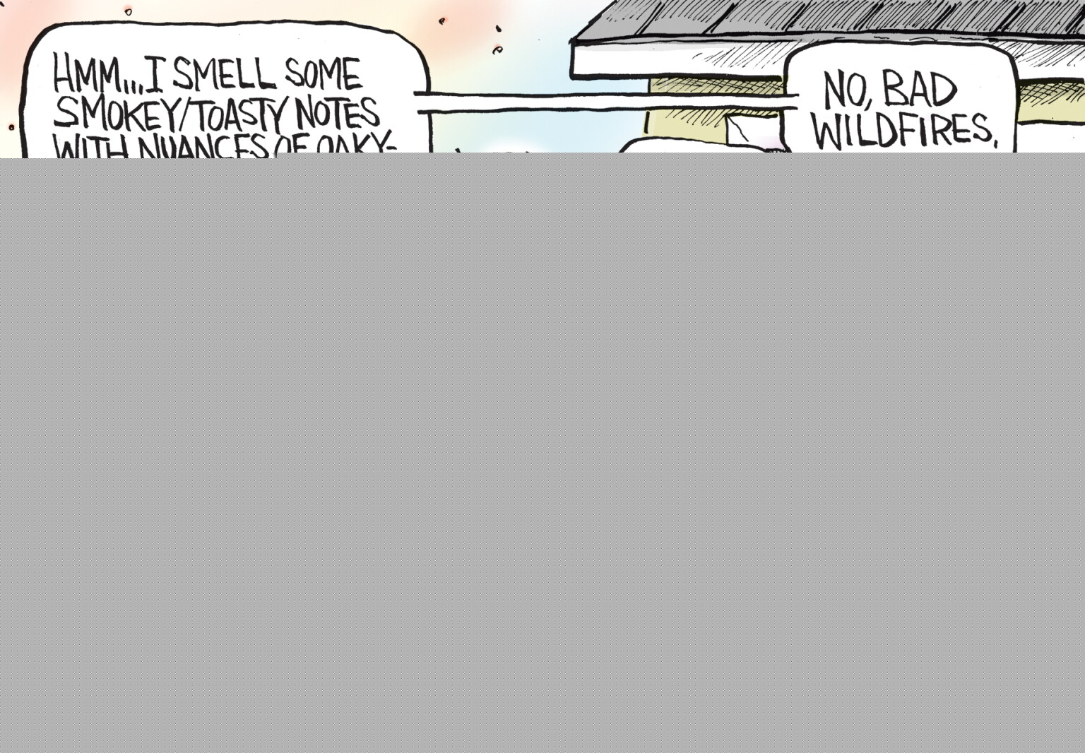 National View: Ignore climate crisis, and wildfires will only get worse