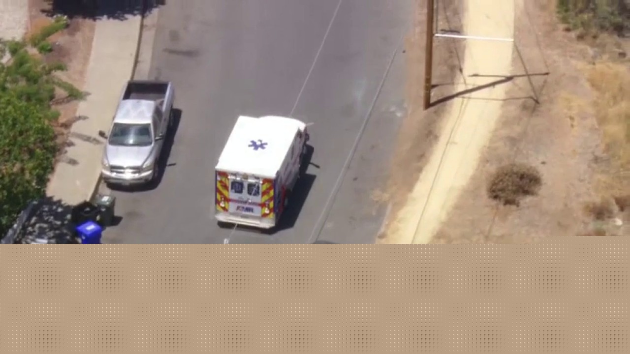 Snake bite reported in Valencia