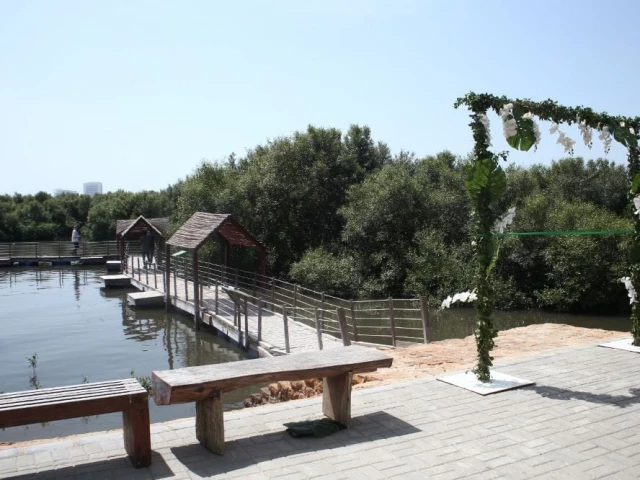 Karachi welcomes country’s first Floating Mangrove Biodiversity Park