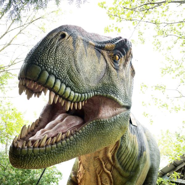 Columbus Zoo Lantern Festival Returns With New Dinosaur Displays and Interactive Experiences