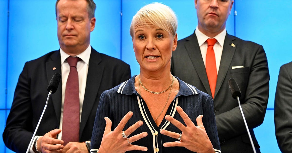 Susanne Nyström: Det här berättar inte regeringen om bidragstaket