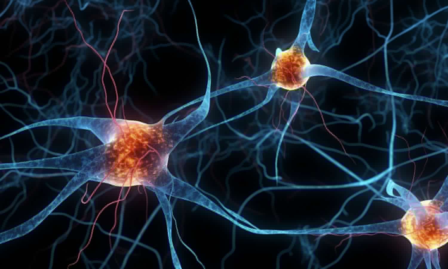 Workers' pesticide exposure linked to 60-70% heightened motor neuron disease risk