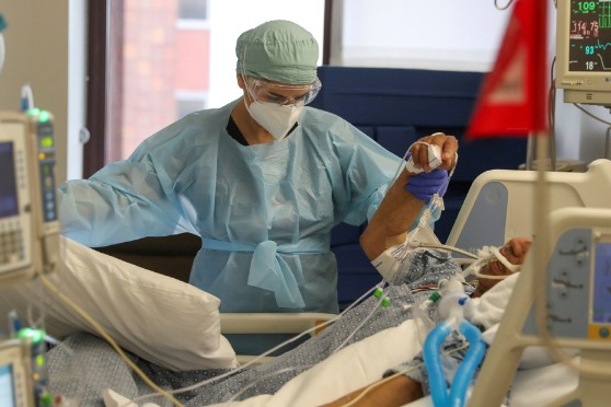 Scholars Try to Steer Us Virus Response