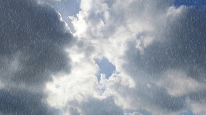 Expect moderate rain today with strong winds and more rain tomorrow