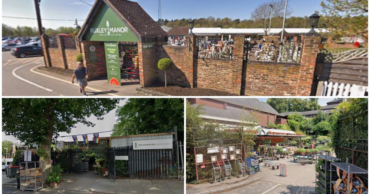 REVEALED: The best garden centres in south east London - including hidden gem