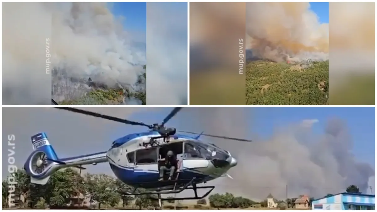 (VIDEO) Novi požar izbio u Deliblatskoj peščari: Proširio se na više od 300 hektara